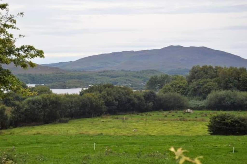 Twin Lake View - Bungalow In Pontoon Foxford Luaran gambar