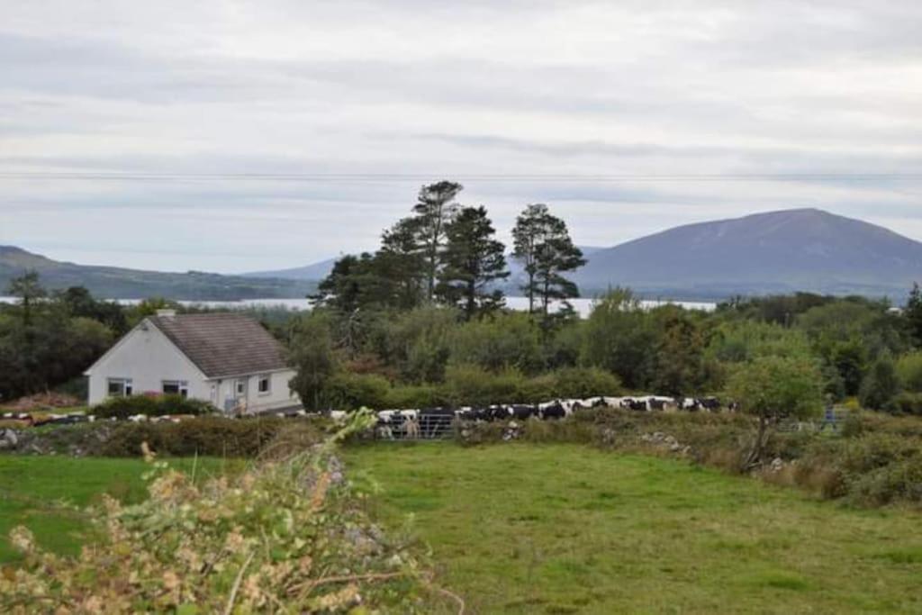 Twin Lake View - Bungalow In Pontoon Foxford Luaran gambar